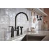 Picture of R++ 62558LFBLBNX BRIDGE FCT W/SPRAY 2L