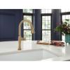 Picture of R++ 63058LF-GLPG PULLDOWN KITCHEN FAUCET