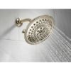 Picture of R++ RP40593PN BRIZO SHOWER ARM