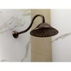Picture of R++ RP54168RB 16" SHWR ARM&FLG RB