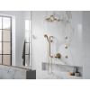Picture of R++ RP81434GL SHOWER ARM AND FLANGE