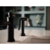Picture of R++ 62525LFBL 2 HDL BRIDGE KIT FCT SPRAY
