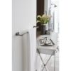 Picture of R++ 693598-SL DOUBLE ROBE HOOK