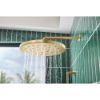 Picture of R++ 83867-GL SHOWER ARM & FLANGE