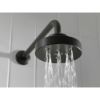 Picture of R++ RP71648BL BRIZ EUROPE 15 SHW ARM&FLG