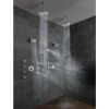 Picture of R++ RP78580PC SHOWER ARM AND FLANGE