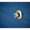 Picture of R++ SH84101-PN MASSAGING BODY SPRAY