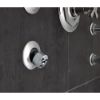Picture of R++ SH84101-PC MASSAGING BODY SPRAY