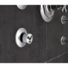 Picture of R++ SH84101-PC MASSAGING BODY SPRAY