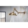 Picture of R++ RP81434GL SHOWER ARM AND FLANGE