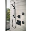 Picture of R++ T84913-BL BODY SPRAY TRIM