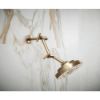 Picture of R++ RP81434GL SHOWER ARM AND FLANGE