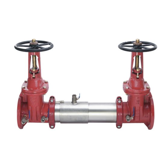 Picture of 757-OSY 10" DBL CHECK VALVE