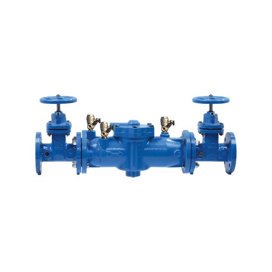 Picture of LF007NRSIOT LLC 2-1/2" CI DBL CV BF PRV