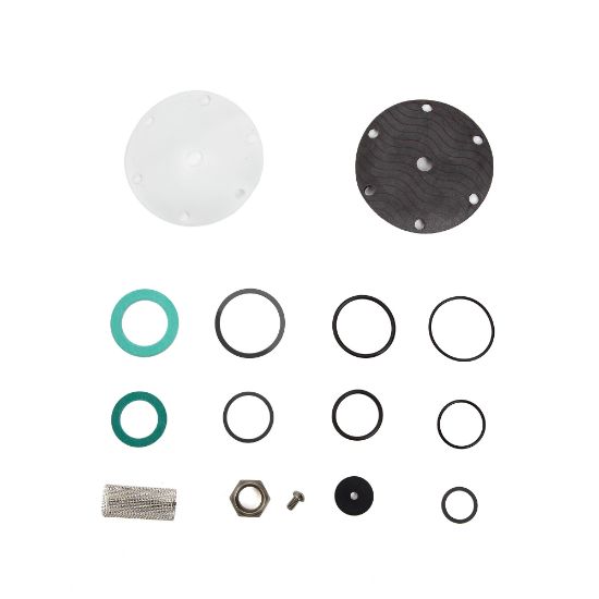 Picture of LFKIT-B-RK LLC 3/4" RED VLV REPAIR KIT B