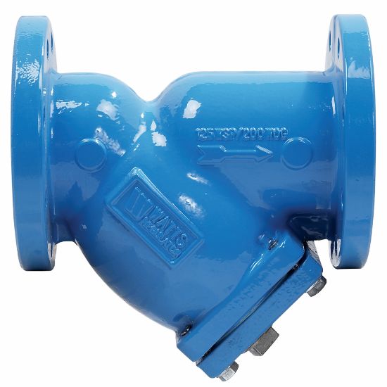 Picture of 77F-DI-FDA-125 6" FLG Y STRNR FDA APPRVL