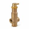 Picture of PV100 1" NPT SPRVNT AIR ELIMINATOR