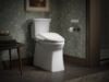Picture of 28229-0 PUREWASH E725 BIDET SEAT