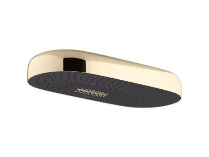 Picture of 26297-AF STATEMENT 2F 18  DPMSG RAINHEAD