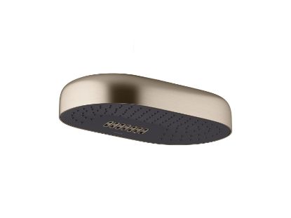 Picture of 26295-BV STATEMENT 2F 14  DPMSG RAINHEAD
