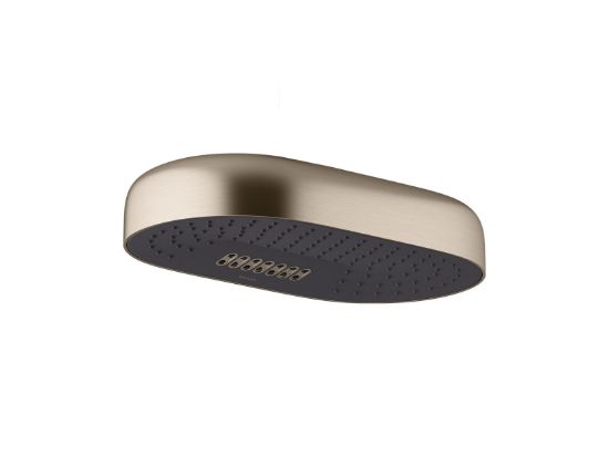 Picture of 26295-BV STATEMENT 2F 14  DPMSG RAINHEAD