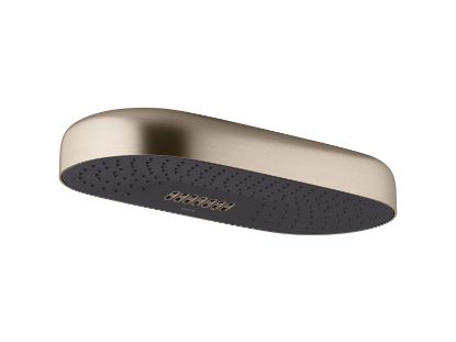 Picture of 26297-BV STATEMENT 2F 18  DPMSG RAINHEAD