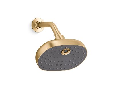 Picture of 26290-2MB STATEMENT MF SHOWERHEAD
