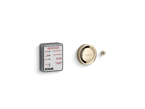 Picture of 5548-K1-AF DTV+ STEAM ADAPTER KIT SINGLE