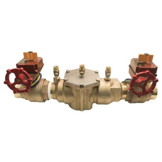 Image sur 2" 2000BM1-FP DCVA NPT  W/S VALVES