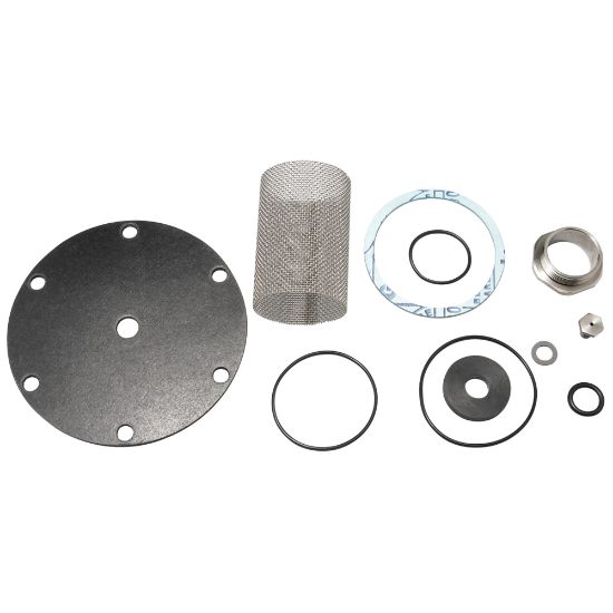 Picture of RK25AUB 2" RED VLV REPAIR KIT