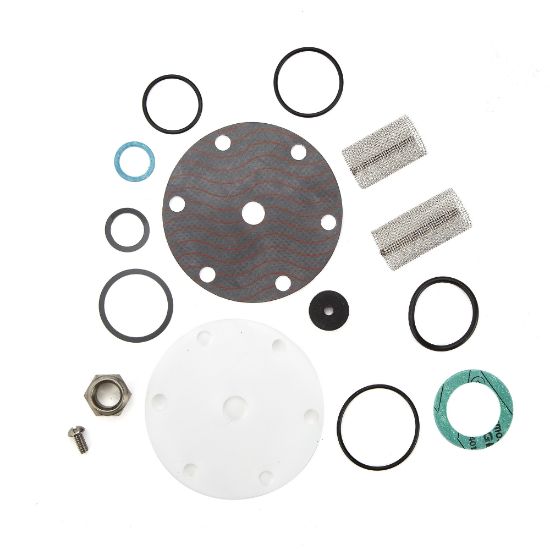 Picture of LFKIT-A-RK LLC 1/2" RED VLV REPAIR KIT A