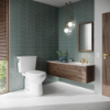 Image sur RS+ CST786CEFG1001 DRAKE TRANSITIONAL 10