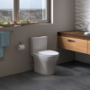 Picture of RS+ MS446124CEMGN01 AQUIA IV 2PC RH TOIL