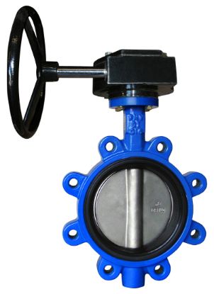 Image de 732BGP 4" 255 PSI FNW LUGGED
