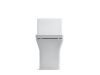 Picture of C++ 3797-0 REVE 1-PC TOILET S-TRAP