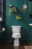 Image sur RS+5298-0 HIGHLINE 1.0GPF TOILETTE CH EB