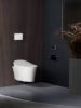Picture of RS+5402-0 VEIL WALL HUNG INTELLIGENT TLT