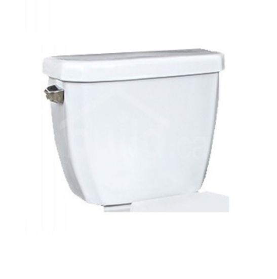 Picture of 4721BFVU CANE 4.8L TANK UNLINED 12" R-IN