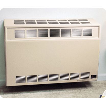 Picture of DV25P P DIR/VENT WALL FURNACE