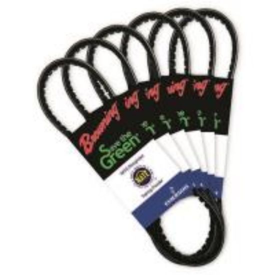 Picture of BX64 B COGGED V-BELT